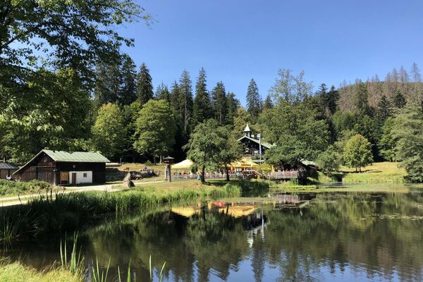 See im Bayerischen Wald