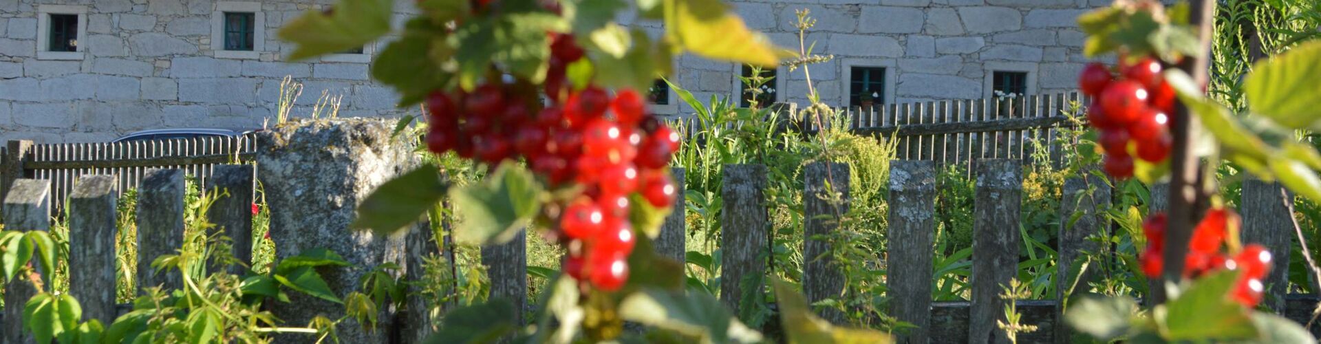 Garten vor dem Naturhotel